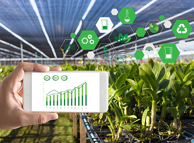 From Seed to Growth: Monitoring Crop Conditions with Satellite Remote Sensing Technology